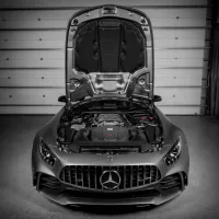 A gray sports car with its hood open, displaying the engine, is parked inside a garage with a closed sectional garage door in the background.