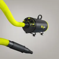BigBoi BlowR Mini+ - Image 3