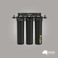 bigboi d-ionizr set