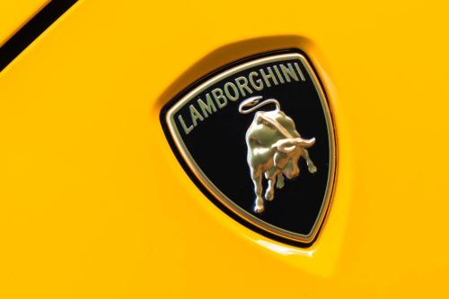 Lamborghini Urus Image 3